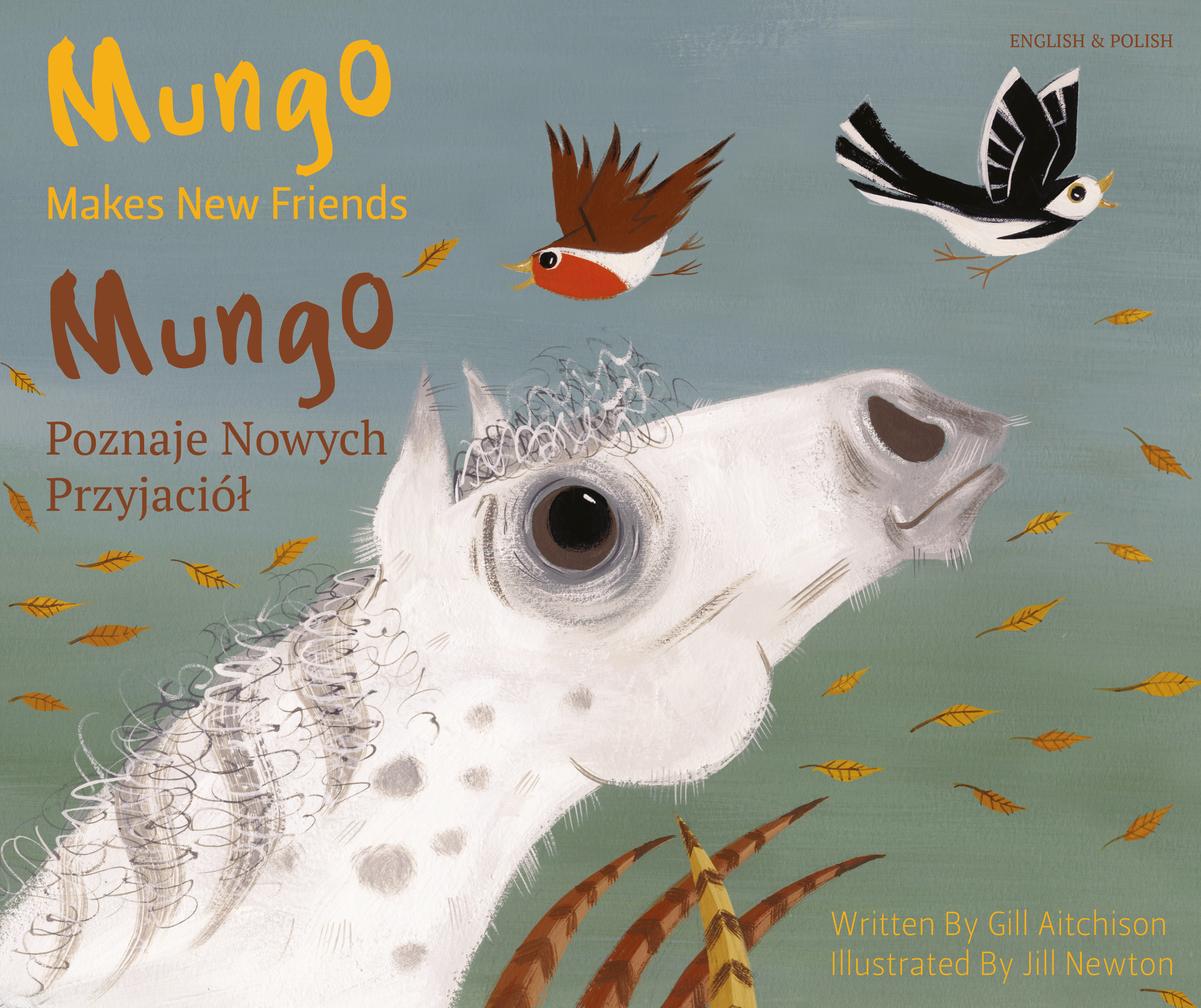 Mungo Makes New Friends - English and Polish version